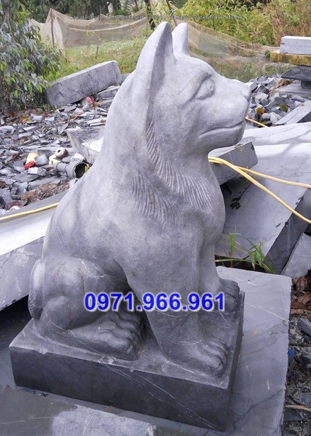 99 bắc ninh mẫu chó đá đẹp - chó canh cổng