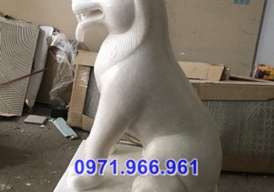 hà giang + 41 mẫu chó canh cổng nhà thờ đá